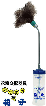 �ԕ���z���@�݂΂��Ԏq